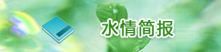 水情简报